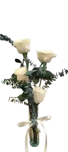 Rosas Blancas En Solitario