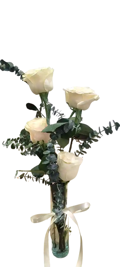 Rosas Blancas En Solitario