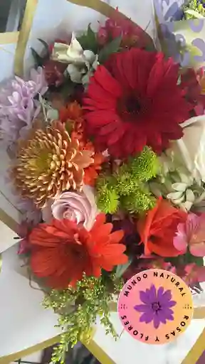 Flores Surtidas Con Gerberas
