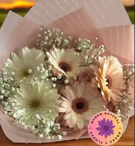 12 Rosas Rosadas + 5 Gerberas