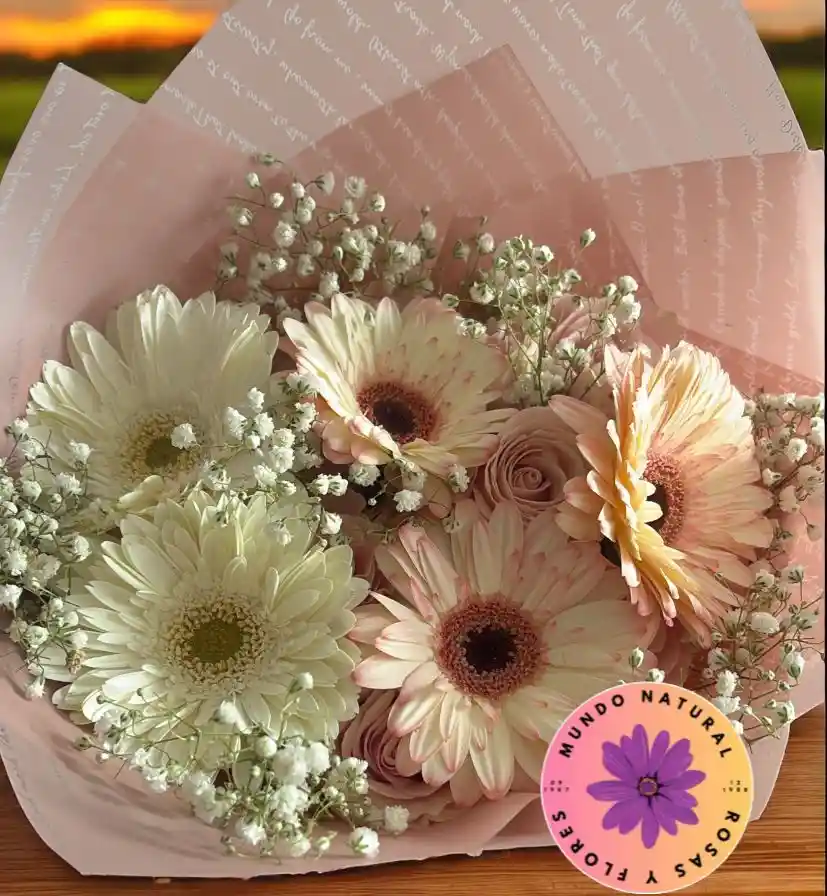 12 Rosas Rosadas + 5 Gerberas