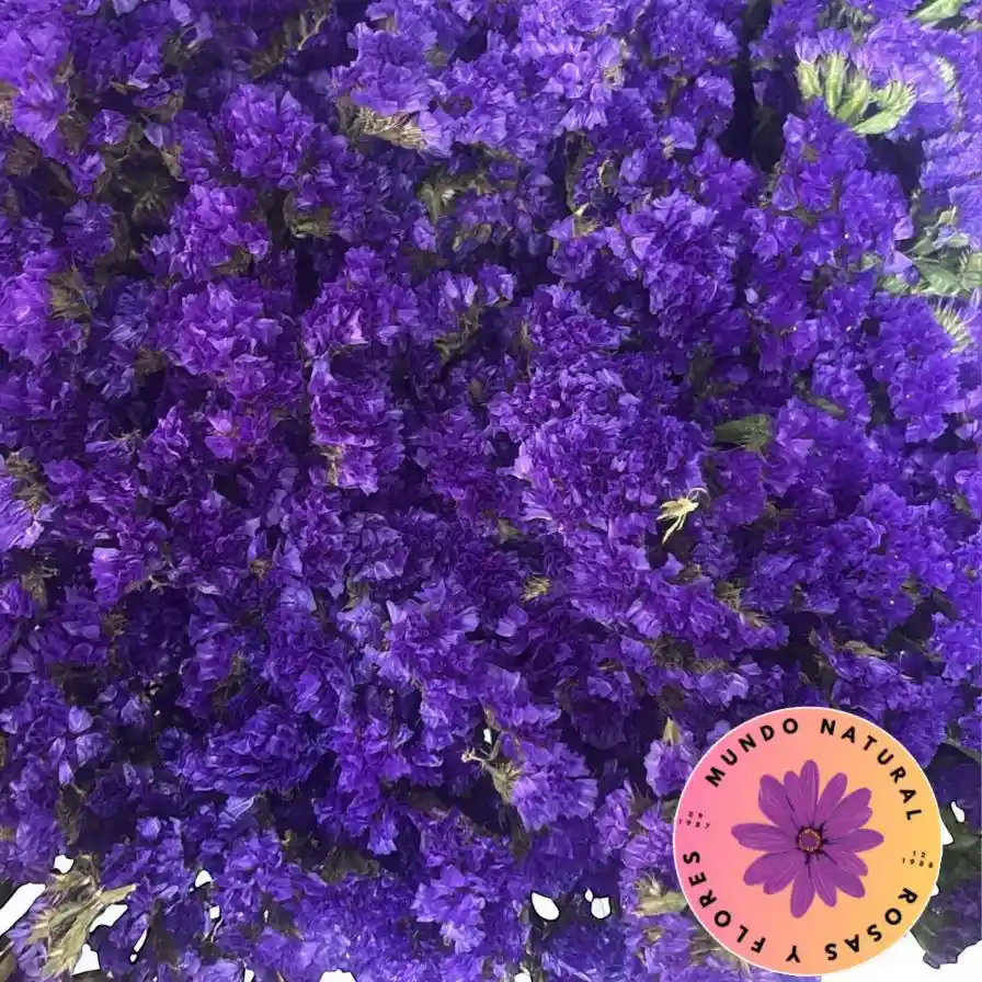 Flores Bouquet De Statice