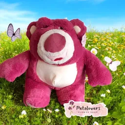 Peluche De Lotso Sentado