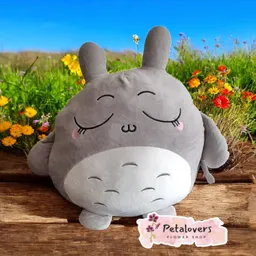 Peluche Almohada De Totoro