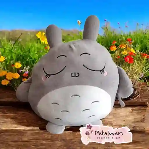 Peluche Almohada De Totoro