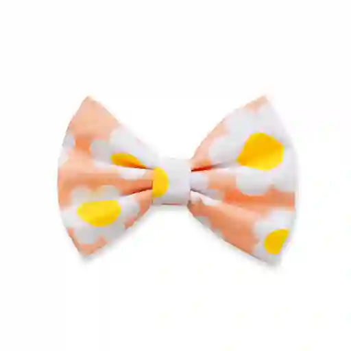 Corbatín S Durazno Mandarinas