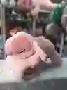 Almohada Angelela