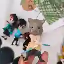 Colección Figuras Demon Slayer Anime X6