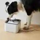 Fuente Bebedero Para Mascotas Agua Fresca Para Perro Y Gato