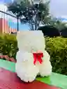 Oso Blanco Grande En Flores Eternas