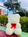 Oso Blanco Grande En Flores Eternas