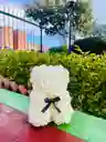 Oso Blanco Pequeño De Flores Eternas