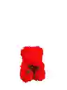 Oso Rojo Pequeño De Flores Eternas