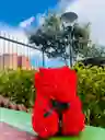 Oso Rojo Pequeño De Flores Eternas