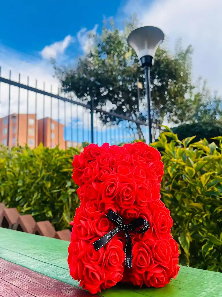 Oso Rojo Pequeño De Flores Eternas