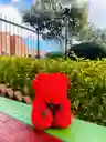 Oso Rojo Pequeño De Flores Eternas