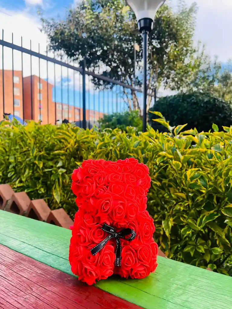 Oso Rojo Pequeño De Flores Eternas