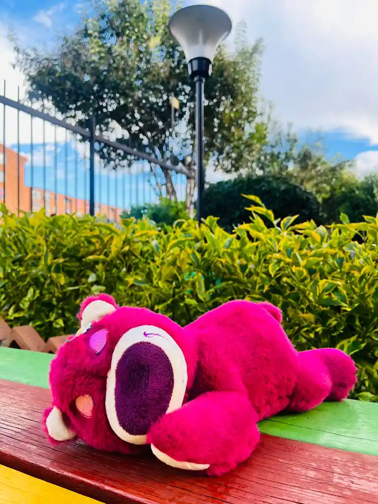 Lotso