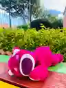 Lotso
