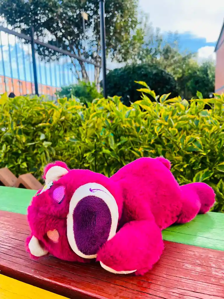 Lotso