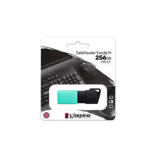 Usb 256gb Kingston 3.2