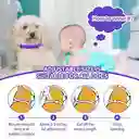 Collar Con Feromonas Para Perros