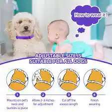 Collar Con Feromonas Para Perros