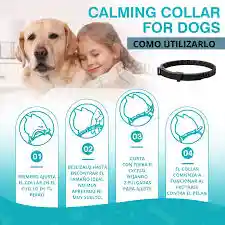 Collar Con Feromonas Para Perros