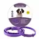 Collar Con Feromonas Para Perros