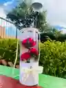Caja Cilindro Floral Fucsia