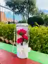 Caja Cilindro Floral Fucsia