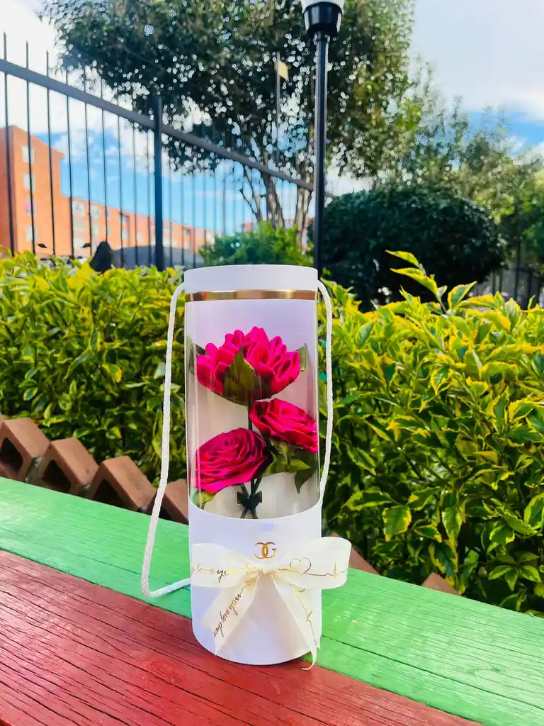 Caja Cilindro Floral Fucsia