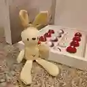 Choco Rabbit Amore