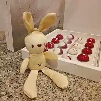 Choco Rabbit Amore