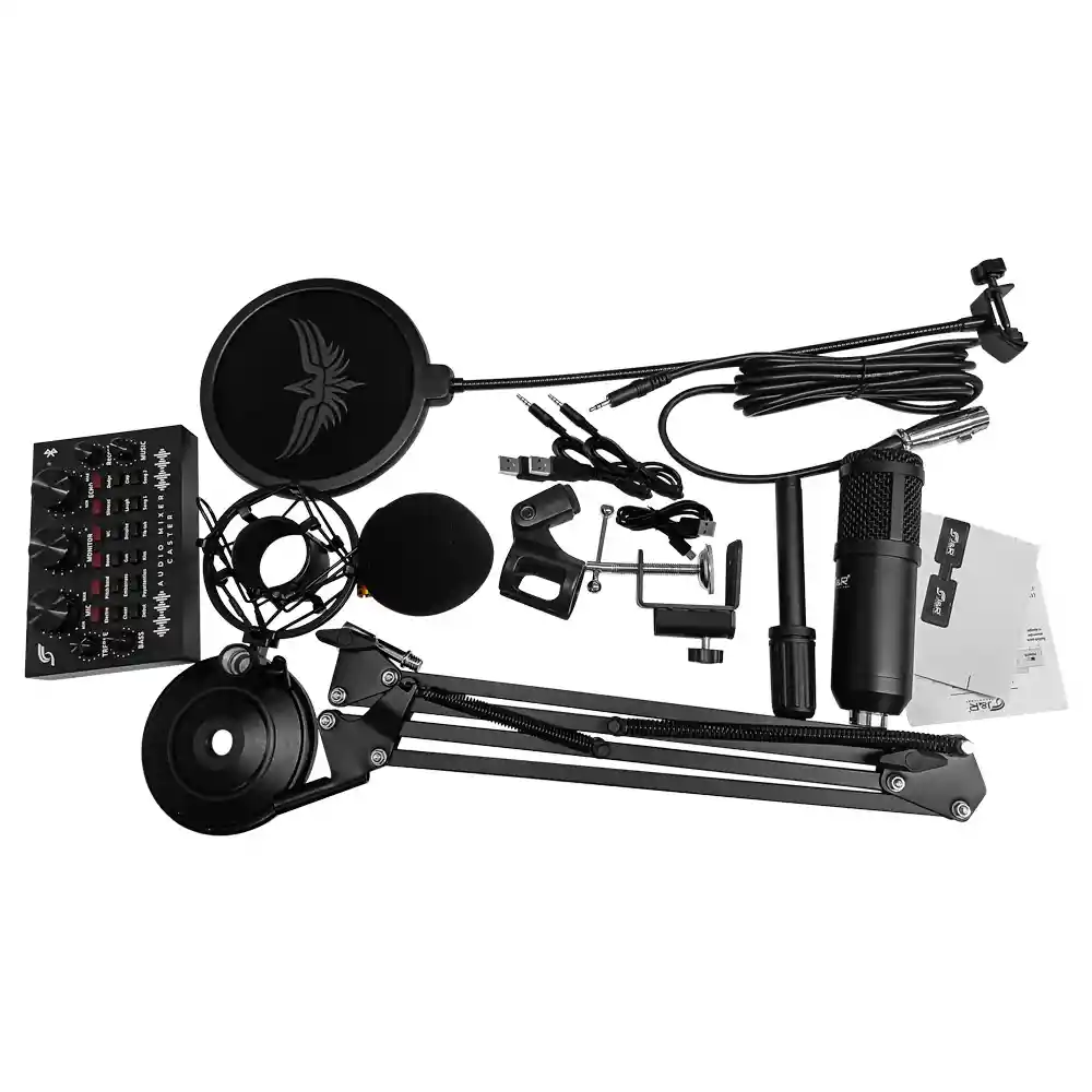 Micrófono Profesional Caster J&r Mcjr-009