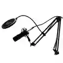 Micrófono Profesional Caster J&r Mcjr-009