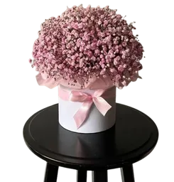 Caja Floral De Gypsofilia Rosada