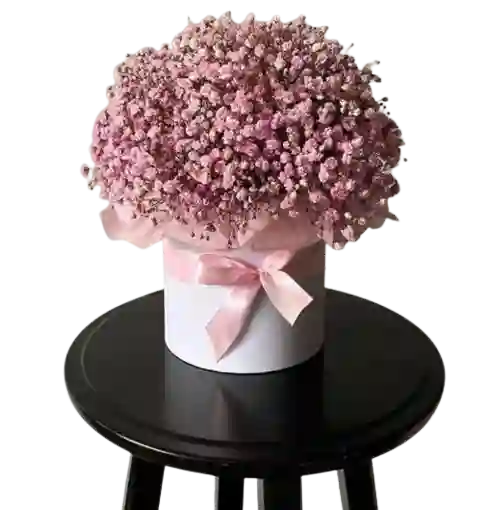 Caja Floral De Gypsofilia Rosada