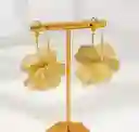 Argollas Petalos De Oro