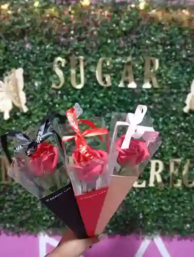 Rosas Solitaria