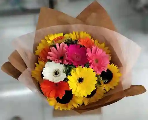 Girasoles Y Gerberas De Colores