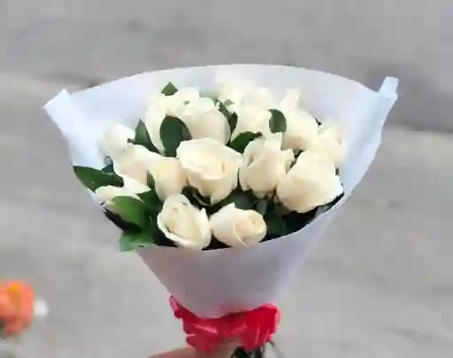 Rosas Blancas