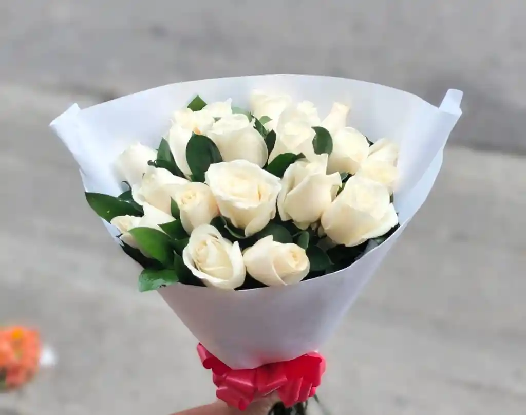 Rosas Blancas