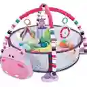 Gimnasio Y Corral Para Bebe Hipopotamo