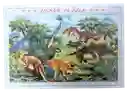 Rompecabezas Carton Caja Dinosaurios 1.000 Pz