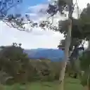 4 Hectáreas De Terreno En Albán, Cundinamarca