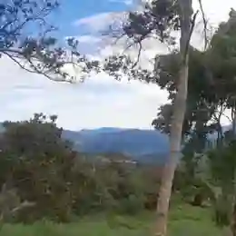 4 Hectáreas De Terreno En Albán, Cundinamarca
