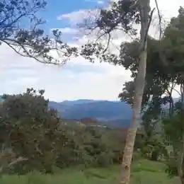 4 Hectáreas De Terreno En Albán, Cundinamarca