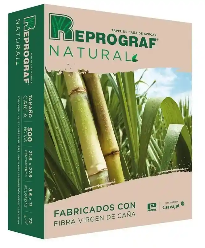 Resma Carta Papel Natural