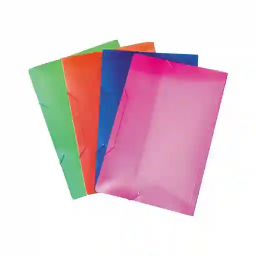 Carpeta Seguridad Plástica Carta